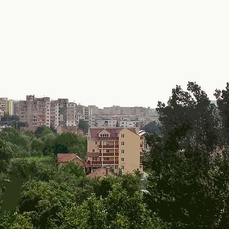 Vila Rosa Hotell Cluj-Napoca Eksteriør bilde