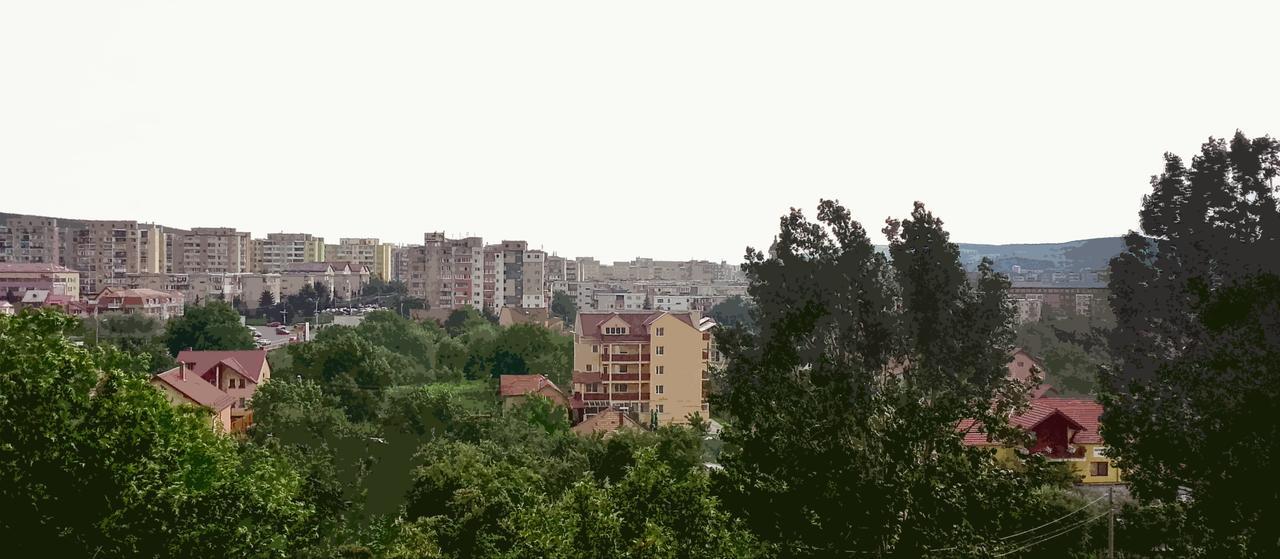 Vila Rosa Hotell Cluj-Napoca Eksteriør bilde